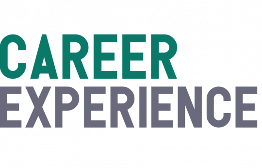 Logo Career Experience 2024